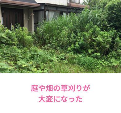 草刈り/庭や畑の草刈りが大変になった