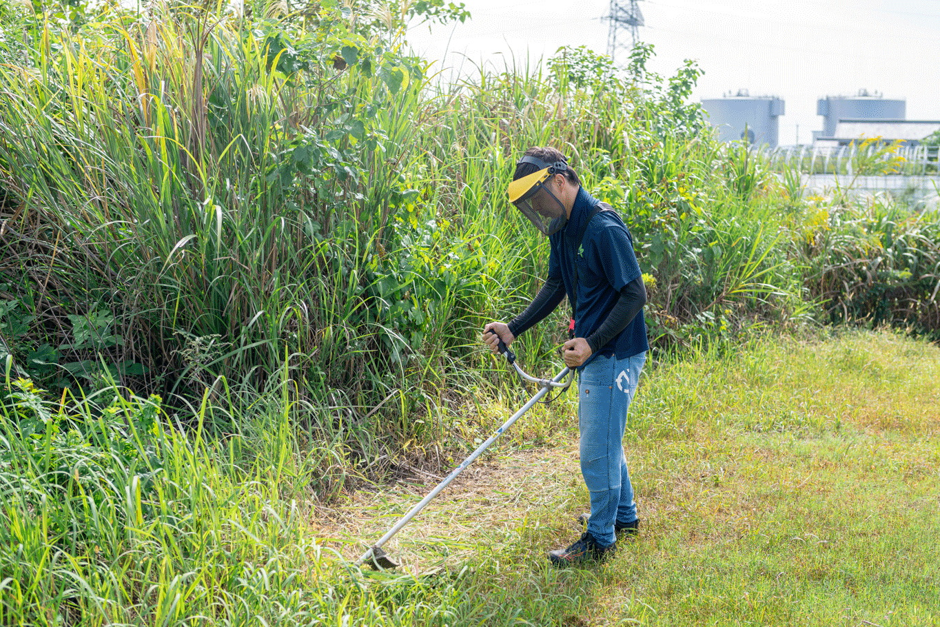 草刈り機で伸びきった草も綺麗にいたします
