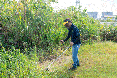 草刈り機で伸びきった草も綺麗にいたします